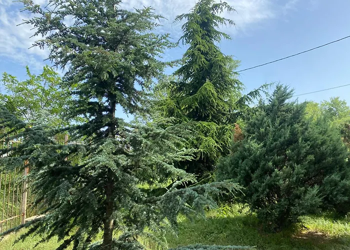 Luxury Seaside With Jacuzzi & Garden - Varna