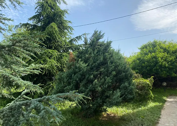 Luxury Seaside With Jacuzzi & Garden - Ferienhaus