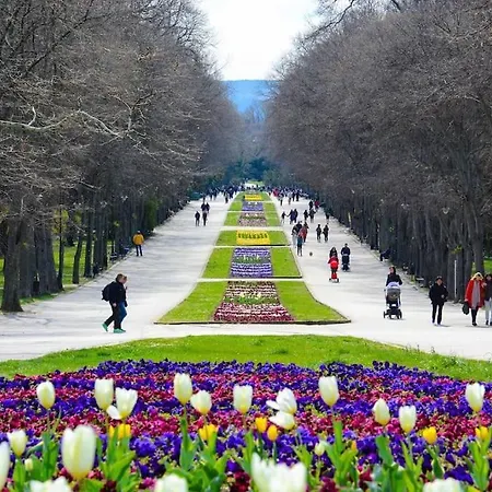 Holiday home Luxury Seaside With Jacuzzi & Garden - Varna