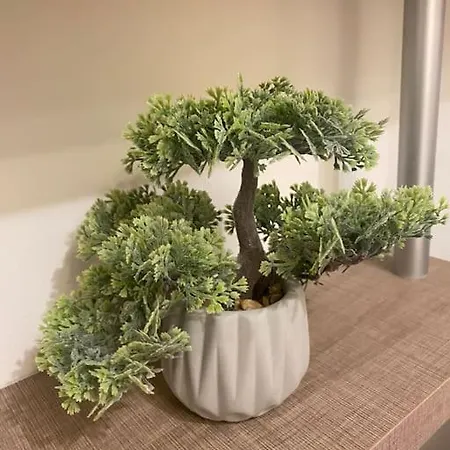 Luxury Seaside With Jacuzzi & Garden - Holiday home Varna