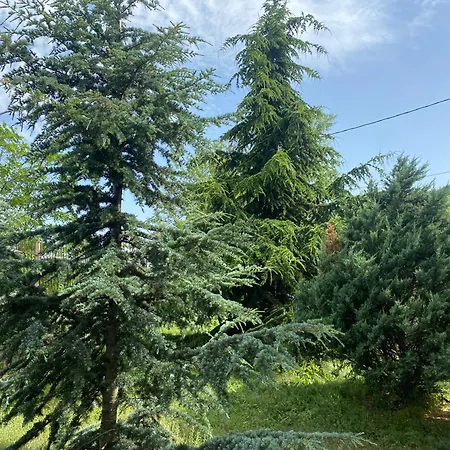 Luxury Seaside With Jacuzzi & Garden - Varna