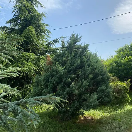 Luxury Seaside With Jacuzzi & Garden - Holiday home